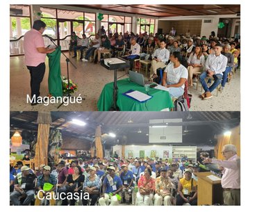 Asambleas Magangué y Caucasia 2024