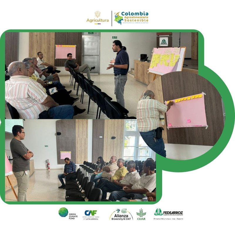 Colombia Agroalimentaria  Espinal