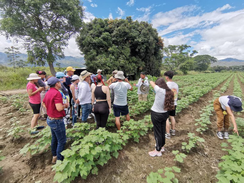 Estudiantes de la Universidad Tec  Pereira conocen sobre el cultivo basado en el programa AMTEC. Diego Rodriguez 2