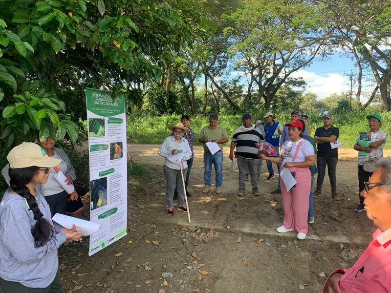 Día de campo en Purificación
