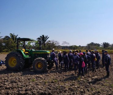 Mecanización y adecuación de suelos para el cultivo de arroz 21abr Liliana Quevedo