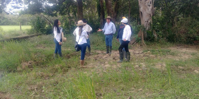 (VHB) en el cultivo del arroz e importancia 7 feb 2022 Melissa Santos 1