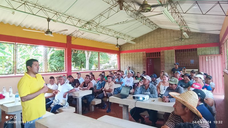 arroceros del Bajo Cauca