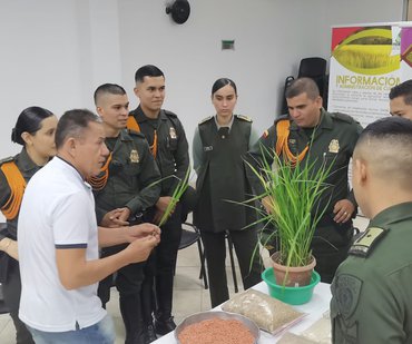 Policia y Carabineros se capacitan en arroz