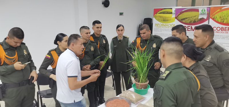 Policia y Carabineros se capacitan en arroz