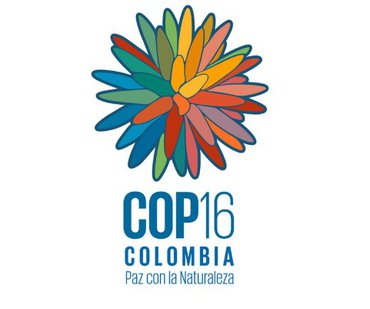 cop 16