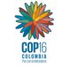 cop 16