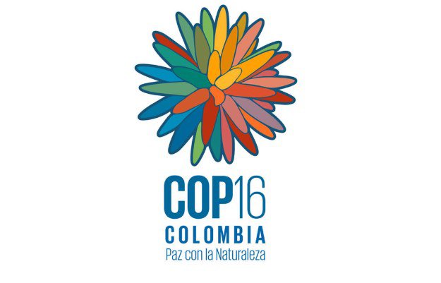 cop 16