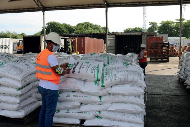 Fedearroz exportación arroz